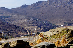 Landscape: view outside Pyrgos