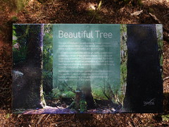 2018-10-06 Trowutta Arch 17 - Beautiful Tree sign