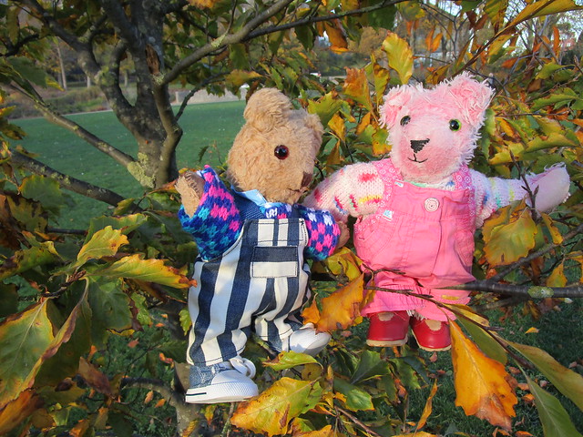Jannie und Röschen auf dem Baum-ich muss sehr aufpassen, dass die Kleinen nicht runterfallen...