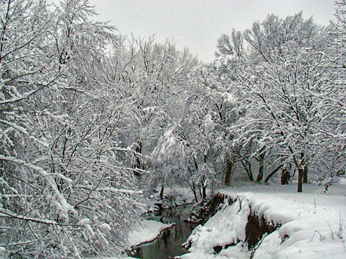 kansas joco johnsoncounty kcmetro kansascitymetro olathe creek indiancreek snow snowy winter january 2019 january2019 usa