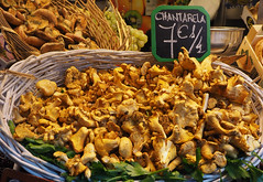 Málaga Mercado Central mushrooms