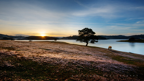 The Sunrise - Dalat by PVHuong Photography | 090 8915 090, “nhiếpảnhphạmvănhương” “pvhuongphotography” “pvhuongphotos” 0908915090 “dalatlandscape” “cảnhđẹpđàlạ