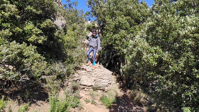 IMG_20190127_123341