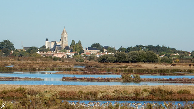 l'église et le château de Noirmoutiers en Île
