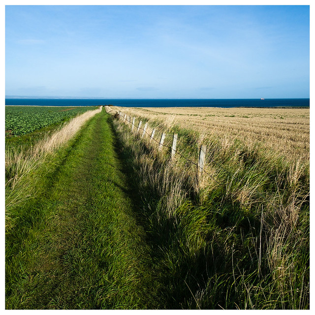 The green path, FCP Boarhills