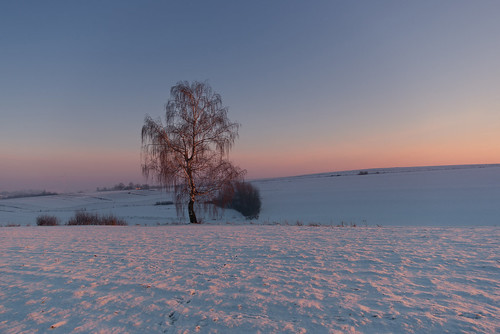 winter snow landscape orły województwopodkarpackie polska tree colors sunset evening softlight sky fields