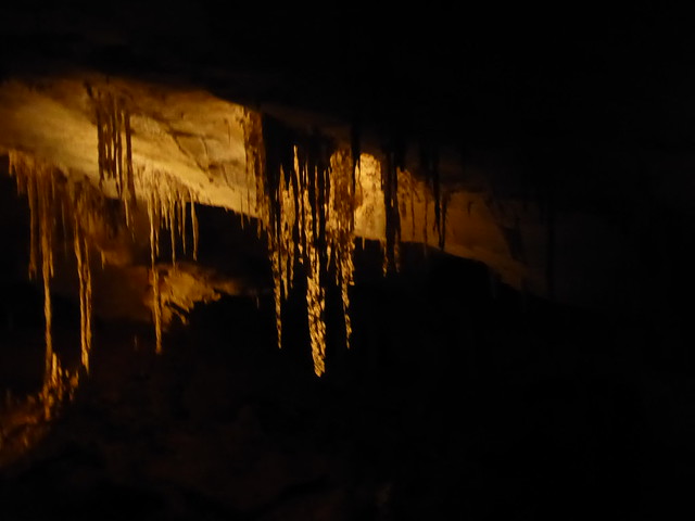 Carlsbad Caverns National Park 2018