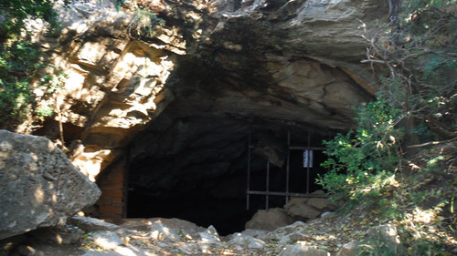 Cova Anes 30