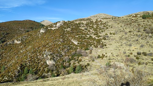 IMG_20190105_104331