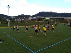 Volley 2018