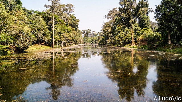 Nature around Angkor