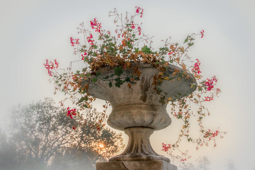 baden niederösterreich österreich at pastel aquarelle romantic antique flowers historic urn vase leaves autumn sunrise sun sky plantingbowl delicate gentle stilllife baroque flower bouquet serenity