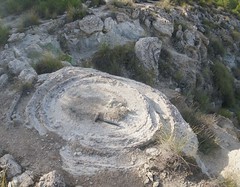 Megasismitas en depósitos lacustres - Camino de la Cañada, Galera (Granada, España) - 46