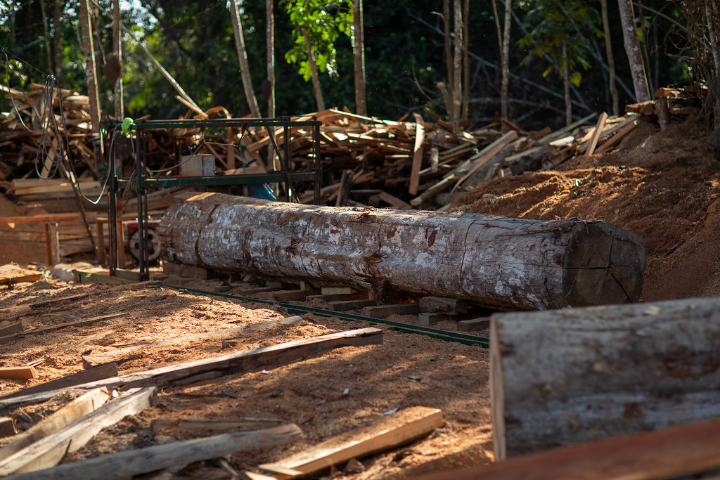 Sawn timber Photo by Marlon del Aguila Guerrero/CIFOR cifor.org forestsnews.cifor.org...