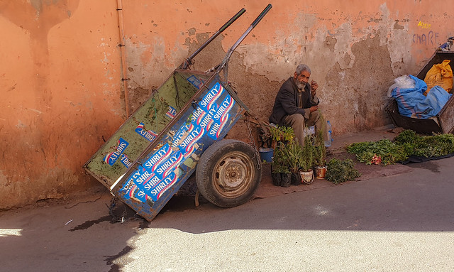 La vie à Marrakech
