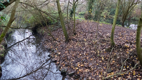 Smestow and canal from Railway Walk