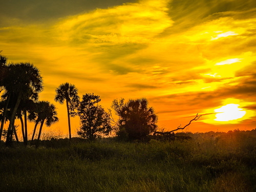 Sunset at Myakka River State Park 11/21/18 by jenkinshall,