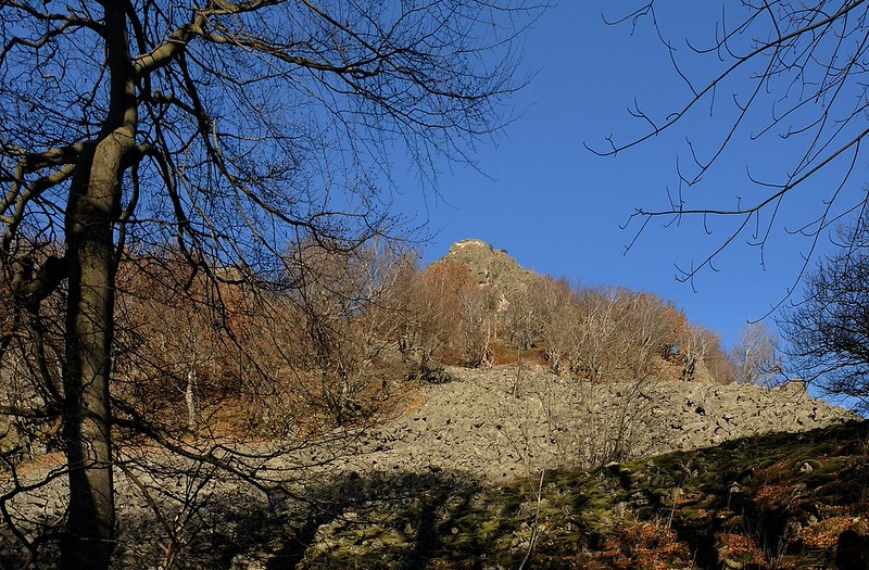 20181117-007F | Milseburg. Rhön, 17.11.2018