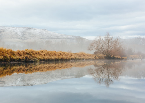 nature landscape fog foggy pond reflection water morning overcast cloudy tree ellensburg washingtonstate canoneos5dmarkiii canonef2470mmf28lusm wallpaper background