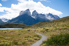 patagonia chile 120