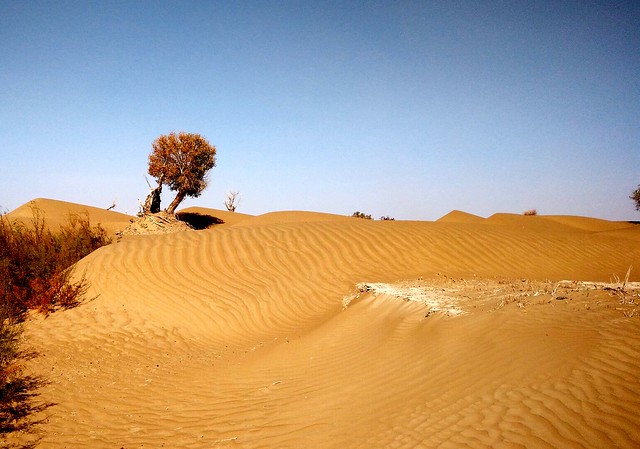 Por la cuenca del Deriya. Desierto de Taklamakán. China