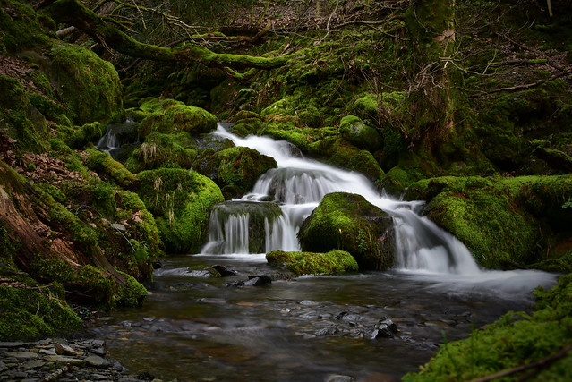 Waterfall in Tal-y-Llyn Snowdonia National Park Walk 183