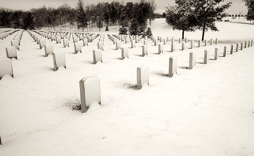 snow graves bw