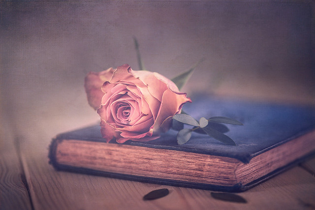 The rose and the book