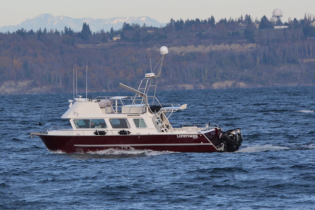 Lifetimer Boat near Seattle