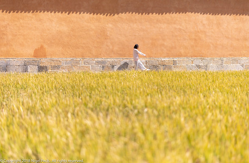A Field outside the Linden Centre by Pexpix, This lady had positioned her camera on a tripod in the middle of this field and was taking long dist