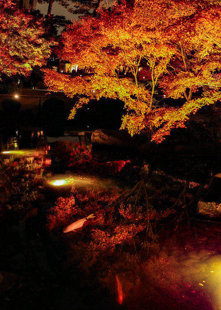 autumncolor-0330