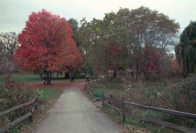 Winnemac Park In The Fall