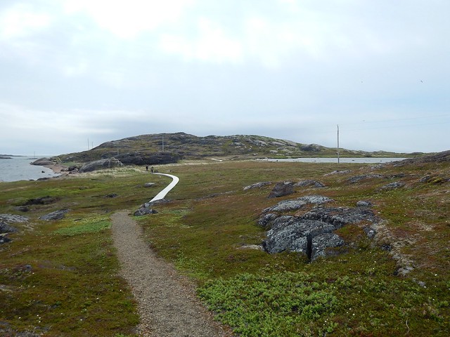 Saddle Island Trail