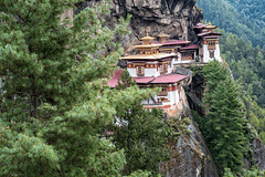 Cliff and forest at Taktsang monastery (Tiger's Nest) - Bhutan