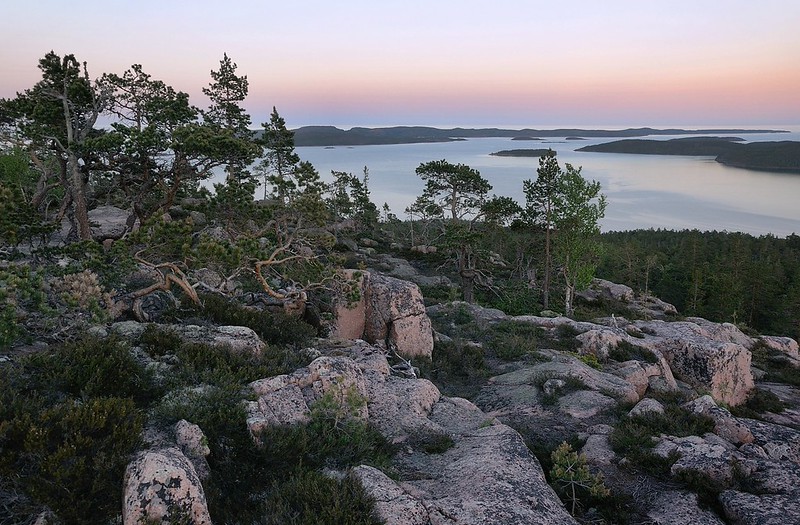 20180523-103P | Skuleskogen-Nationalpark: am Aufstiegsweg zum Slåttdalsberget, Blick zu den Inseln Inseln Rönö, Ulvö und Mjältö. Höga Kusten, Ångermanland / Schweden, 23.05.2018