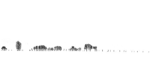 canon7d canon60mmf28 winter blackwhite landscape dowling ontario minimalism brucegates trees fenceline