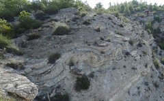 Megasismitas en depósitos lacustres - Camino de la Cañada, Galera (Granada, España) - 50