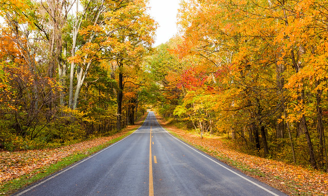 Fall at Low Gap