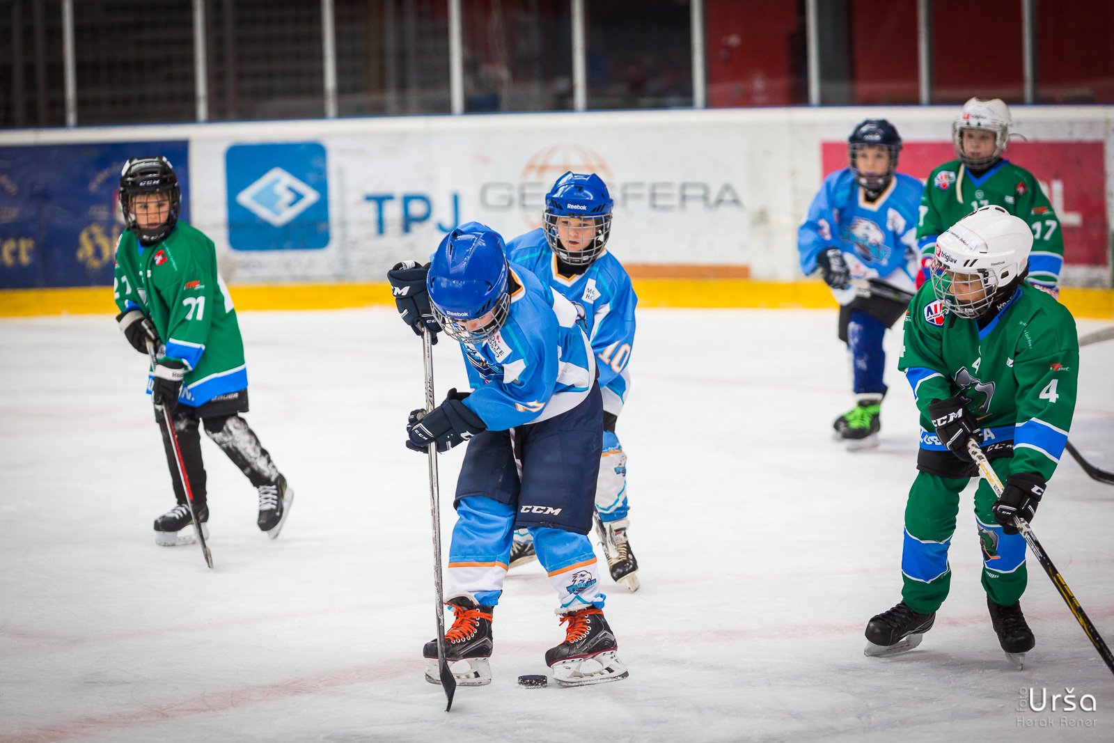 Turnir hokejskih šol na Jesenicah, 18.11.2018