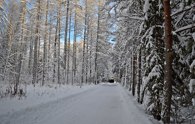 Winter wonderland. Finland 2019.