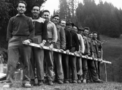 2012 Bergtanne Historisches