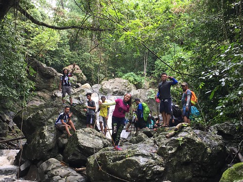 The Spartan Trail - Cebu