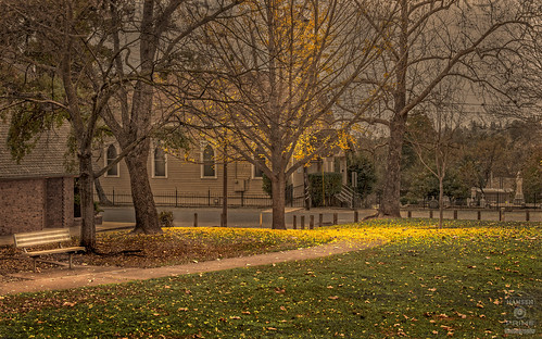 park fall sidewalk path autumn leaves trees tree landscape