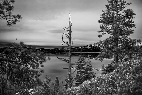 canon5dsr landscape lake water reflection laketahoe trees nature outdoors mono monochrome blackandwhite