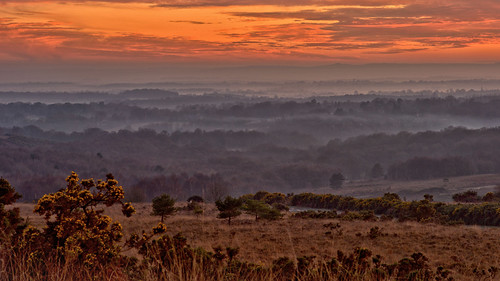 Layers by tsbl2000, My final submission from the recent Ashdown Forest sunset. I liked the way the mist fell in layers i