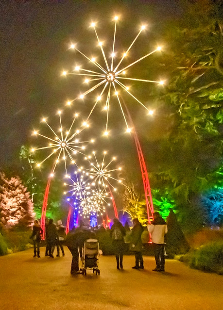 Kew Gardens Light Festival