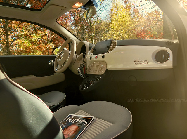 Fiat 500 Autumn