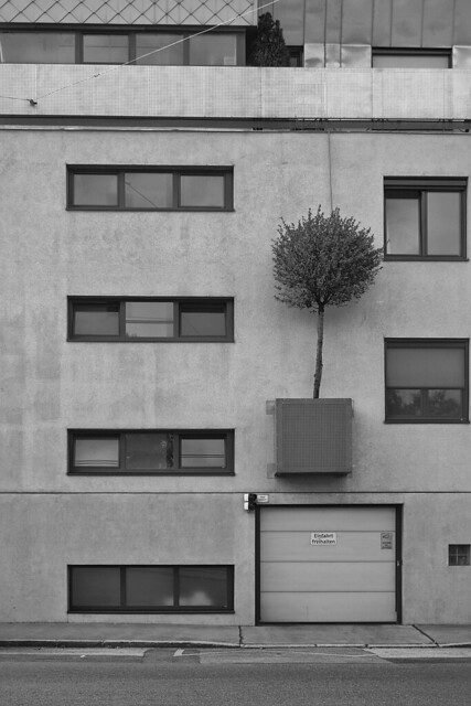 Nature in urban Concrete