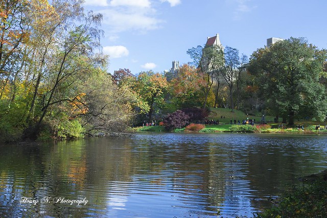 Central Park's Pond.
