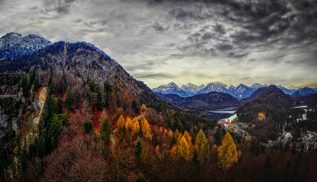 Autumnal Black Forest
